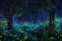 Escape Sanctuary of the Fireflies